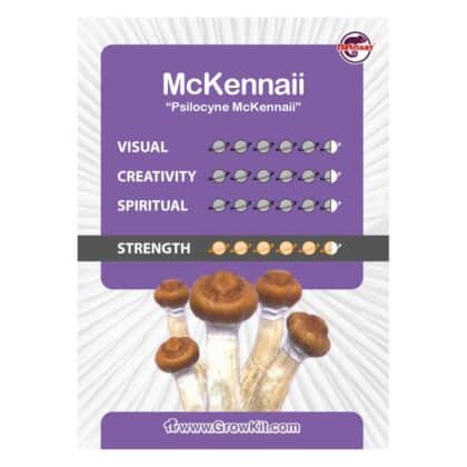 Mckennaii Magic Mushroom Grow Kit - Image 2