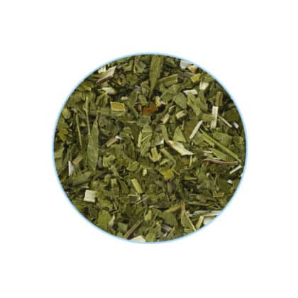 Skullcap contents Indian Elements
