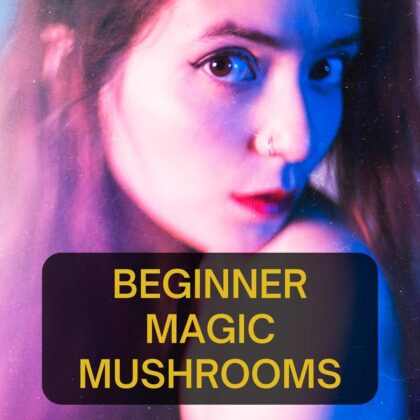 Beginner Magic Mushrooms