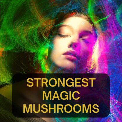 Strong Magic Mushrooms