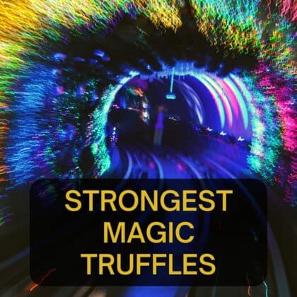 Sterke Magic Truffels