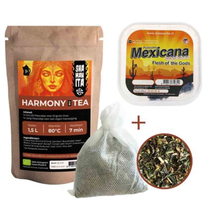 Starter Tea with Mexicana 10 grams of magic truffles and Harmony Bio Tea for beginners in the magical world.
