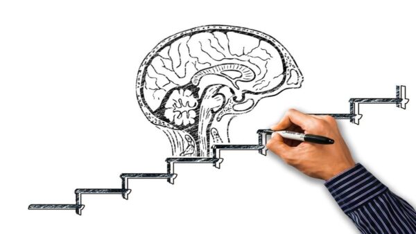 Nootropics: natuurlijke supplementen voor verbeterde mentale prestaties