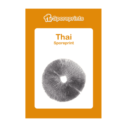 Thai Sporeprint Back View McSmart Spores