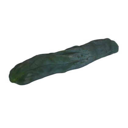 Snijden Monstrosus 25 - 29 cm 1