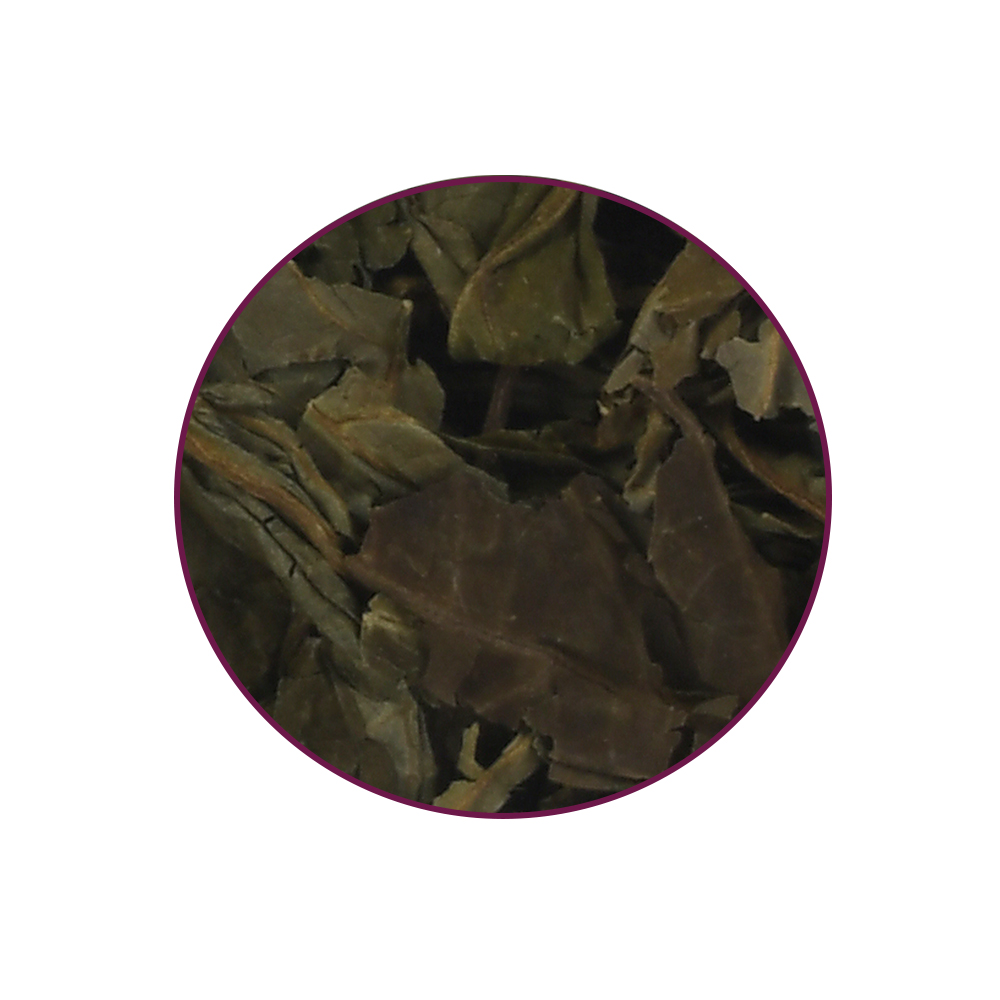 Salvia Divinorum contents