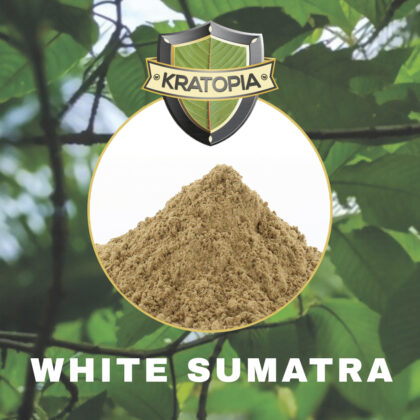 White Sumatra Contents