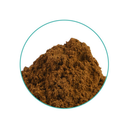 Damiana 10x extract - Imagen 2