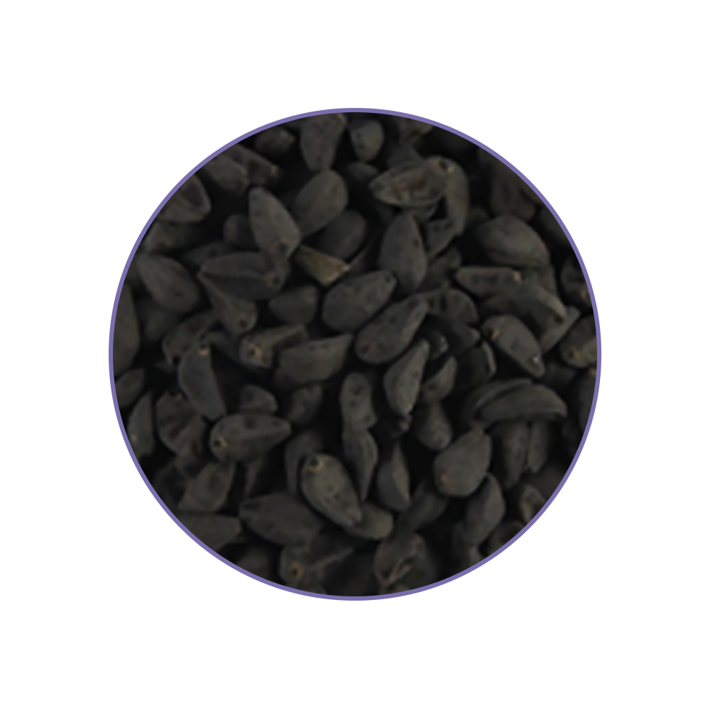 Morning Glory Seeds - Imagen 2