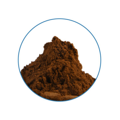 Absinth 10X Extract front view + content