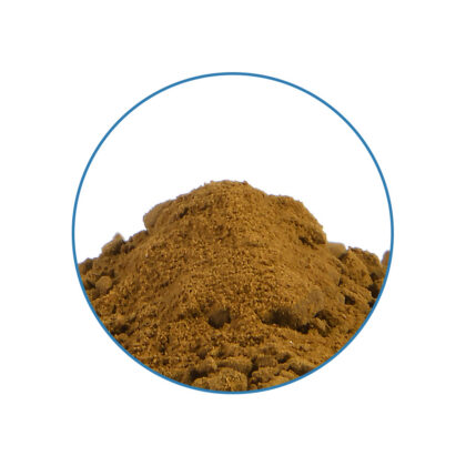 Wild Lettuce 50X Extract - Imagen 2