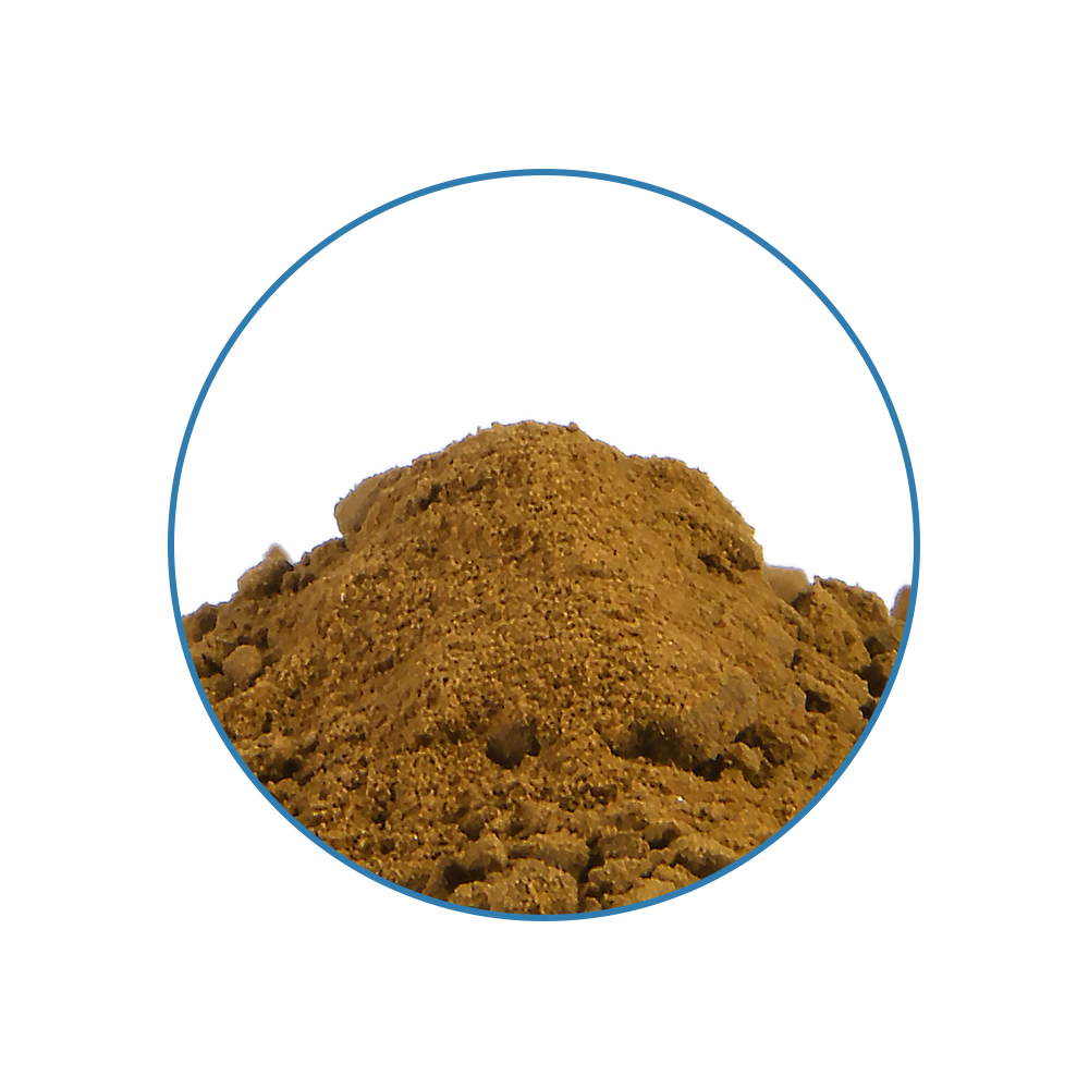 Wild Lettuce 50X Extract - Imagen 2